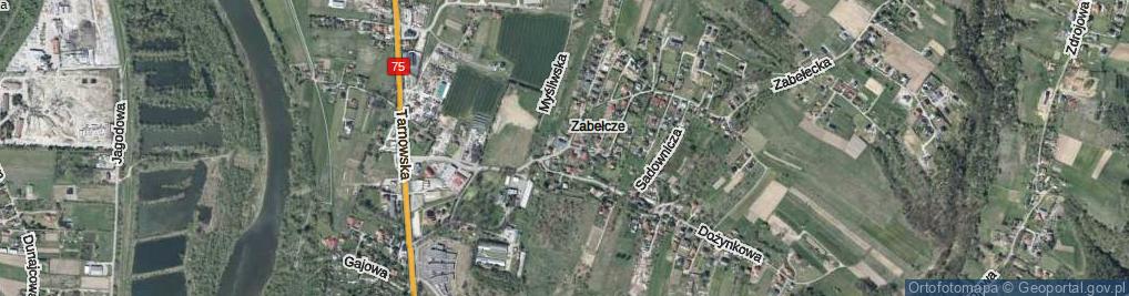 Zdjęcie satelitarne Brzozowa ul.